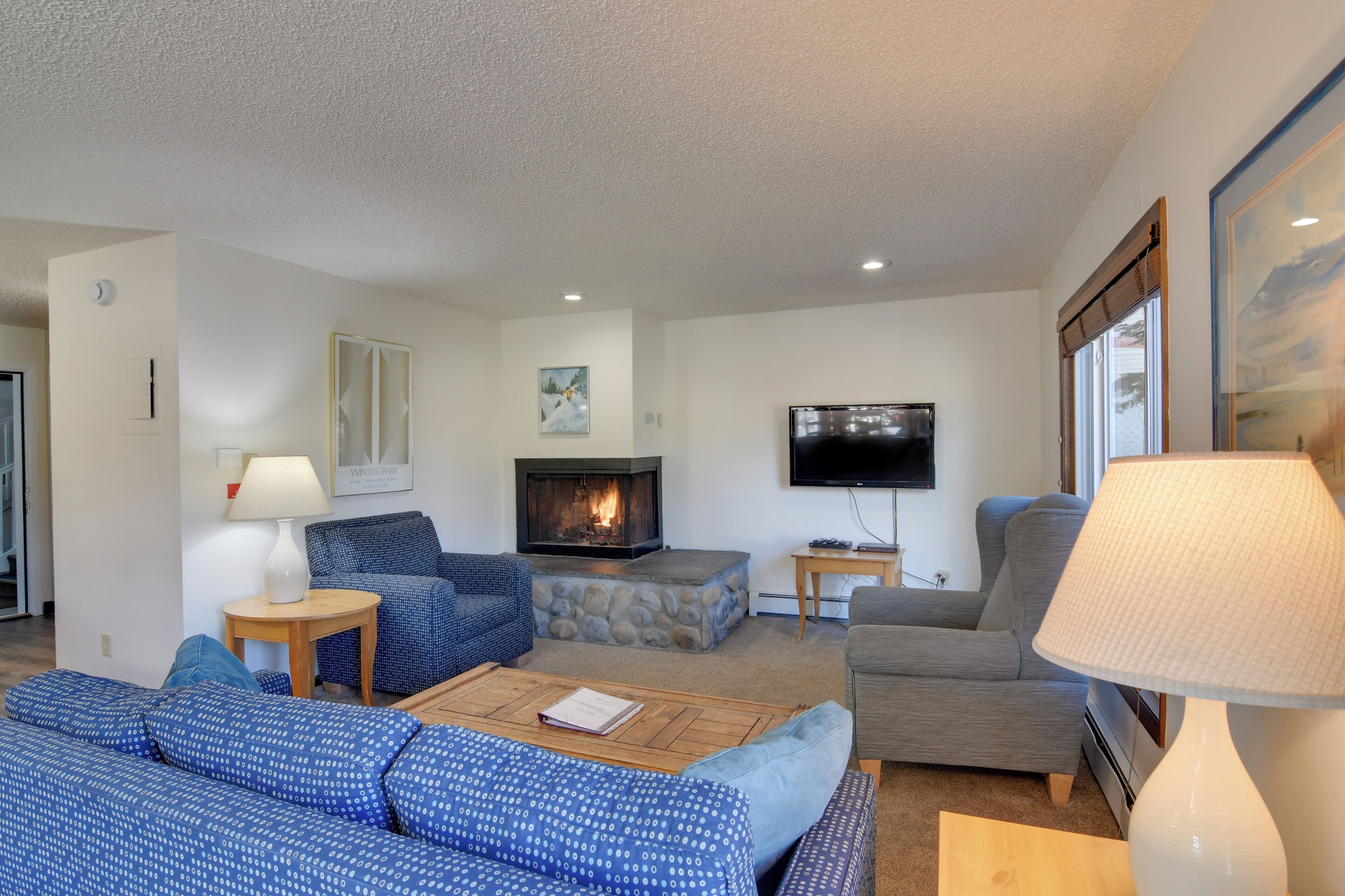 TV, fireplace, books