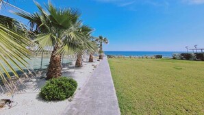 A pathway lined with palm trees leading to a beach. - Coralli Privileges Apt (Protaras)