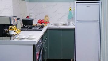 Apartment, Balkon, Stadtblick | Eigene Küche | Kühlschrank, Mikrowelle, Ofen, Herdplatte