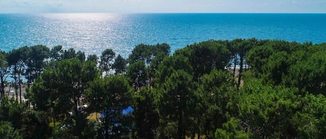 Vista costera con densos pinos en primer plano y un mar azul transparente al fondo.
