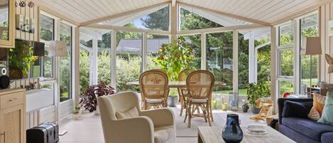 Televisión, chimenea