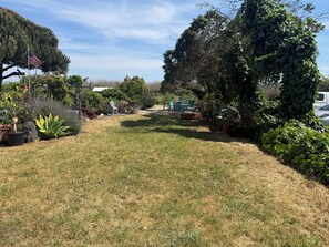 A well-maintained garden with a lawn, potted plants, and outdoor furniture.
