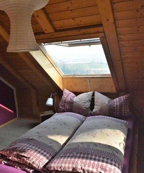 2 bedrooms, iron/ironing board, free WiFi, bed sheets - Holiday apartment with 2 bedrooms (Überlingen)