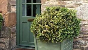 Un bâtiment en pierre avec une porte verte, une enseigne indiquant « Maison du jardinier », et un arbuste en pot devant.