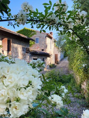 Exterior detail - Cosy room for 12 people with A/C, private pool, WIFI, TV, patio and pets allowed (Penna)
