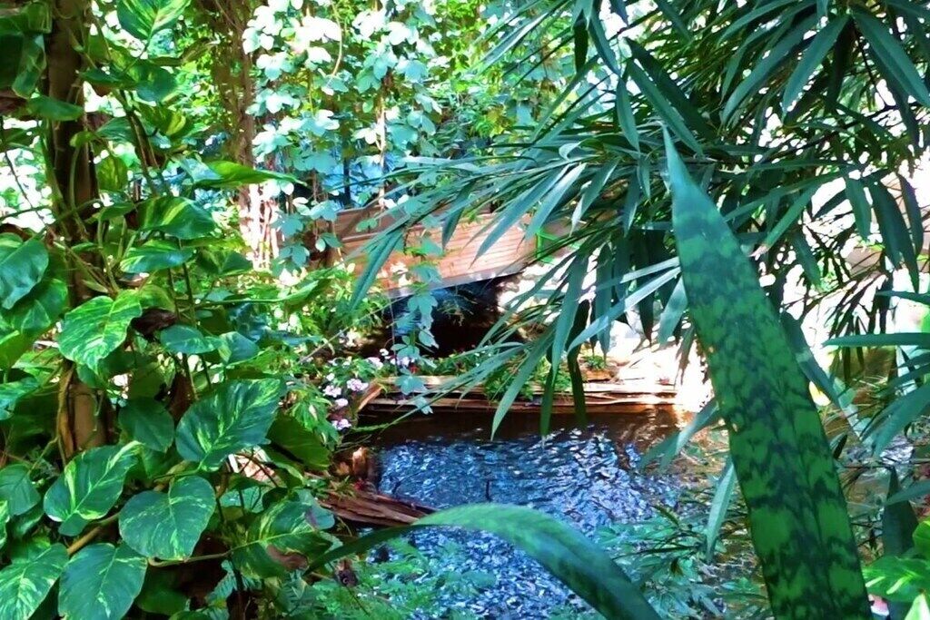 Terrain de l’hébergement 