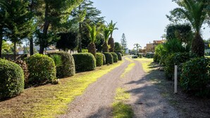 A gravel path flanked by neatly trimmed hedges and trees, leading towards a building in the distance. - Villa 'Tubola' with Shared Pool, Wi-Fi and Air Conditioning (Lizzanello)