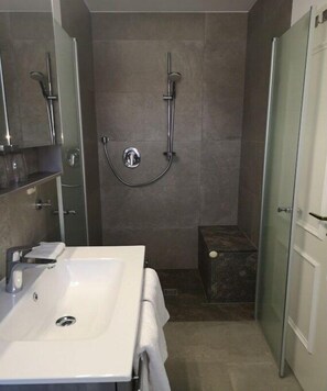 Shower, hair dryer - Holiday apartment with 1 bedroom (Herbstein)