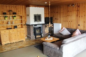 TV connectée, cheminée, lecteur de DVD, chaîne hi-fi