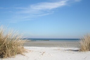 Beach - Right by the sea with sauna (Zingst)