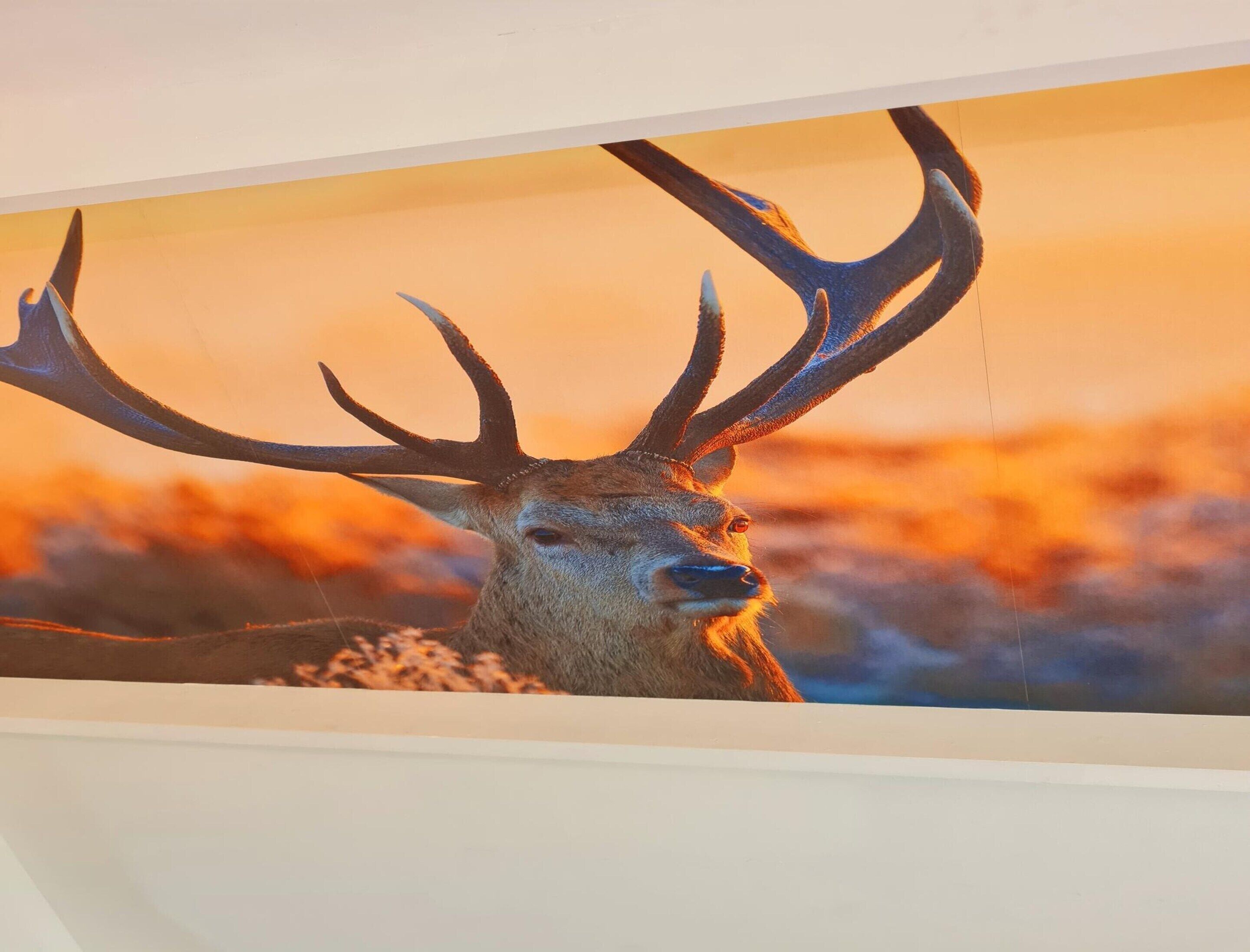 Chalet | Interior detail