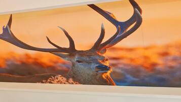 Chalet | Interior detail