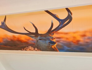 Chalé | Detalhe da parte interna