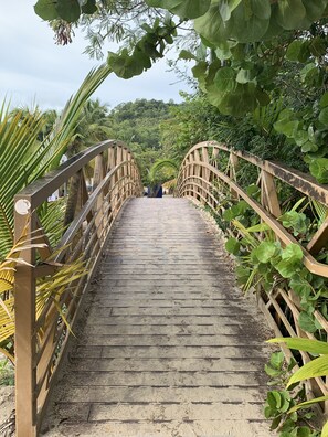 Property grounds - Perle d'Anse, T4 Manguiers near beach (Les Trois-Îlets)