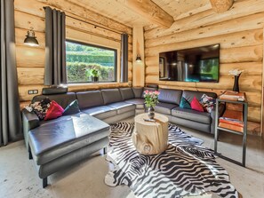 Älytelevisio, kirjoja