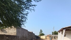 Une rue sablonneuse bordée de bâtiments des deux côtés, dont un bâtiment blanc orné de colonnes et un mur sur lequel pousse un arbre.