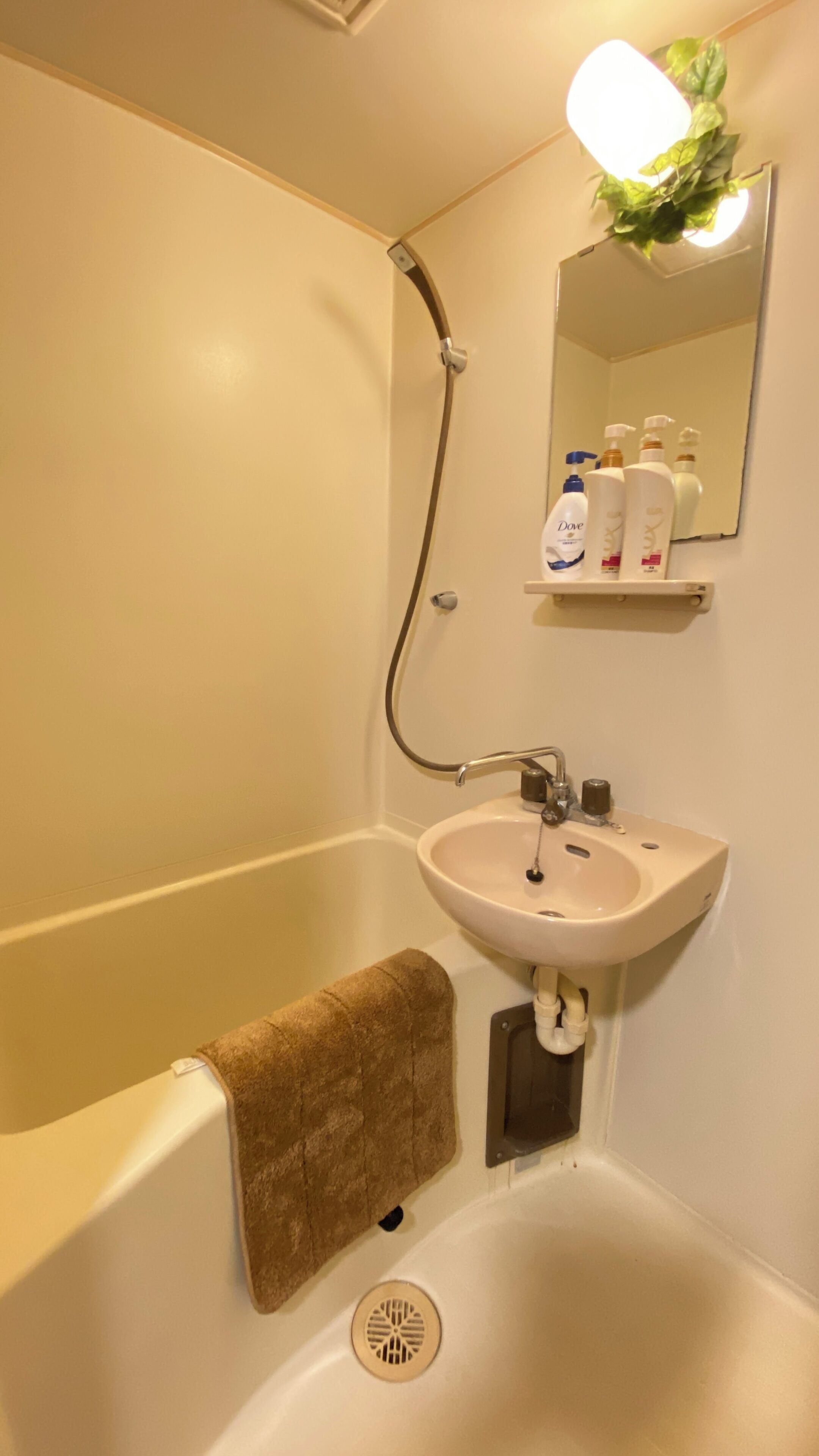 Hair dryer, towels, toilet paper