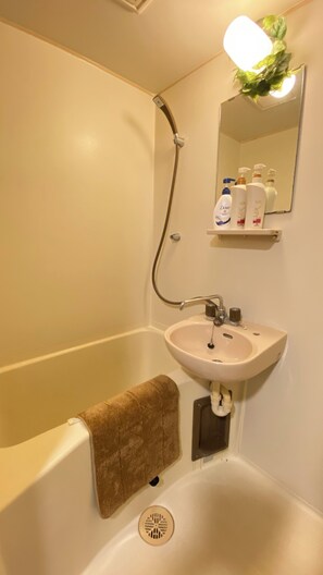 Sèche-cheveux, serviettes fournies, papier toilette