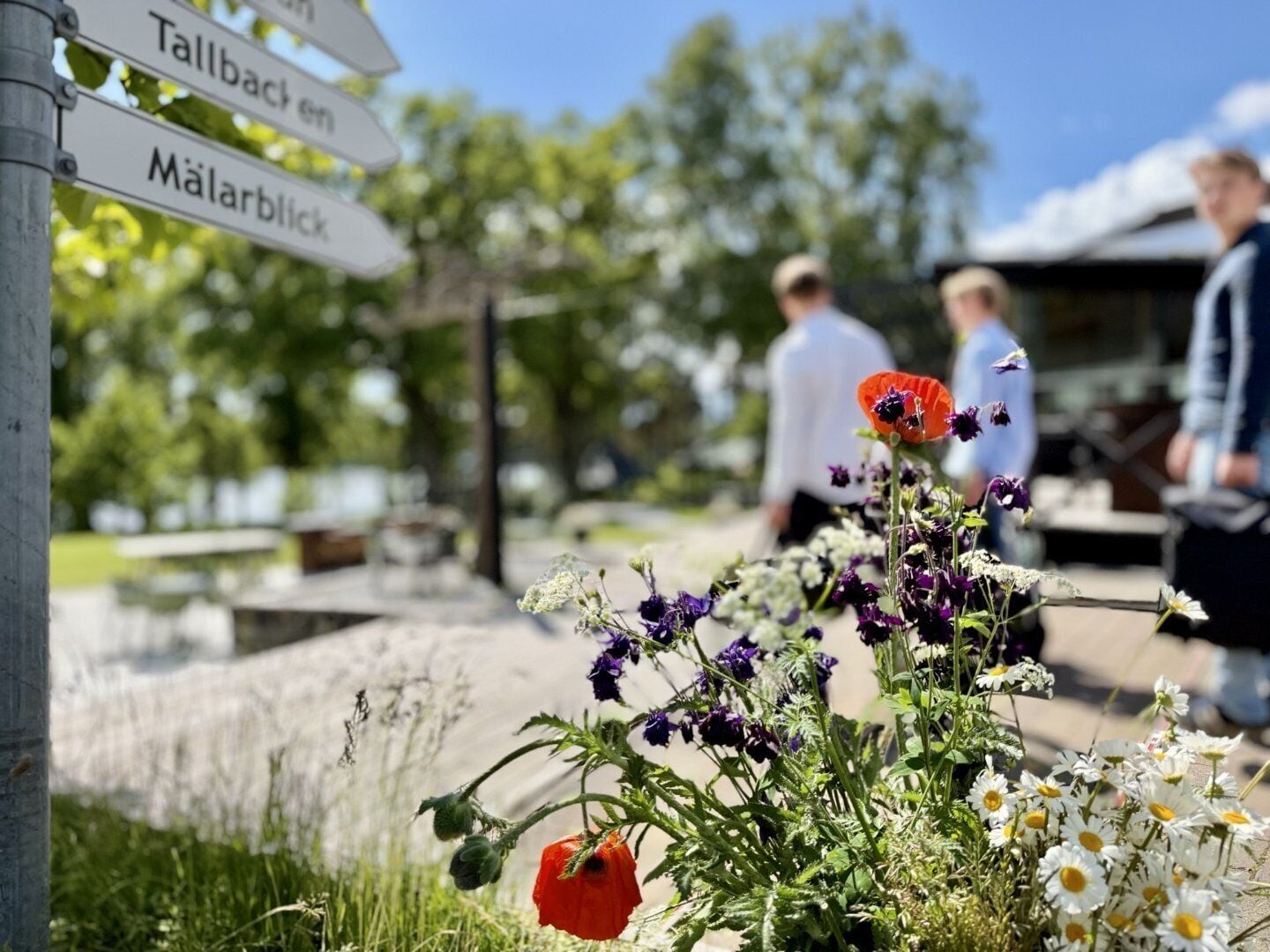 En vägskylt som visar flera olika riktningar, en blomrabatt med olika sorters blommor och en suddig bakgrund med människor.