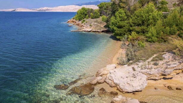 A coastal landscape with clear waters, rocky shoreline, and dense green vegetation. - Tonino holiday house (Pag)