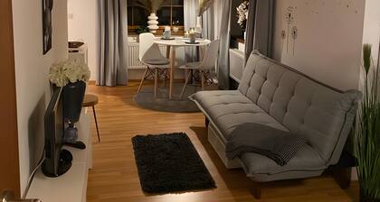 Apartment '5 Ulmer Mitte' mit WLAN