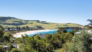 Miscellaneous - Ziggy's Place an inviting holiday rental tucked away in Gerringong (Gerringong)