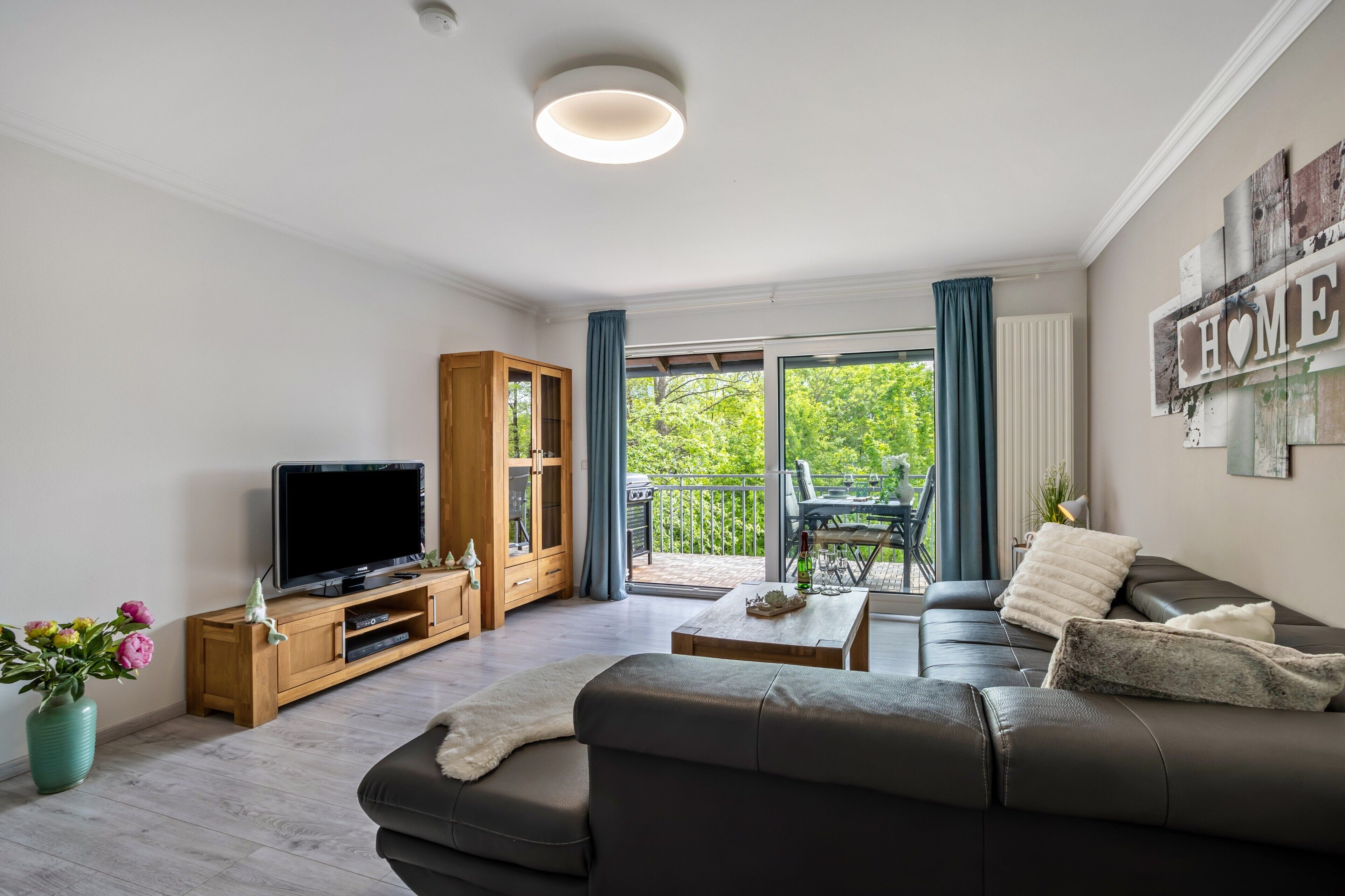 TV, fireplace, DVD player