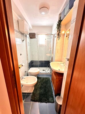 Dusche, Haartrockner, Bidet, Handtücher