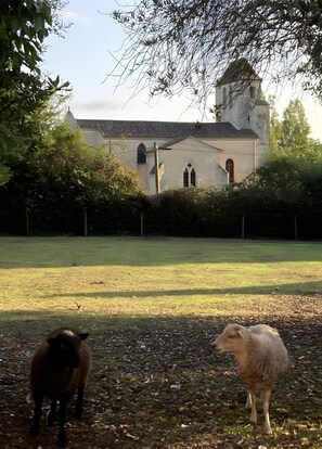 Enceinte de l’hébergement