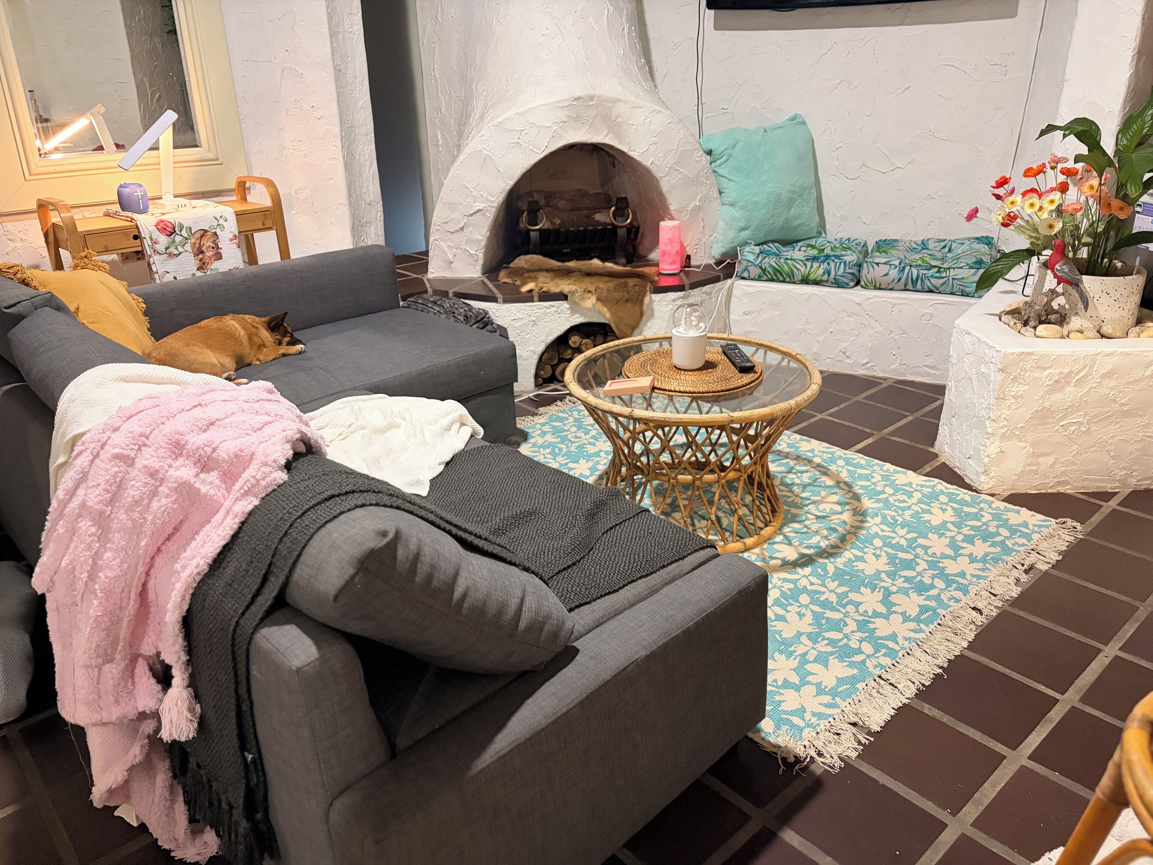 Living Room with Fireplace and sofa bed