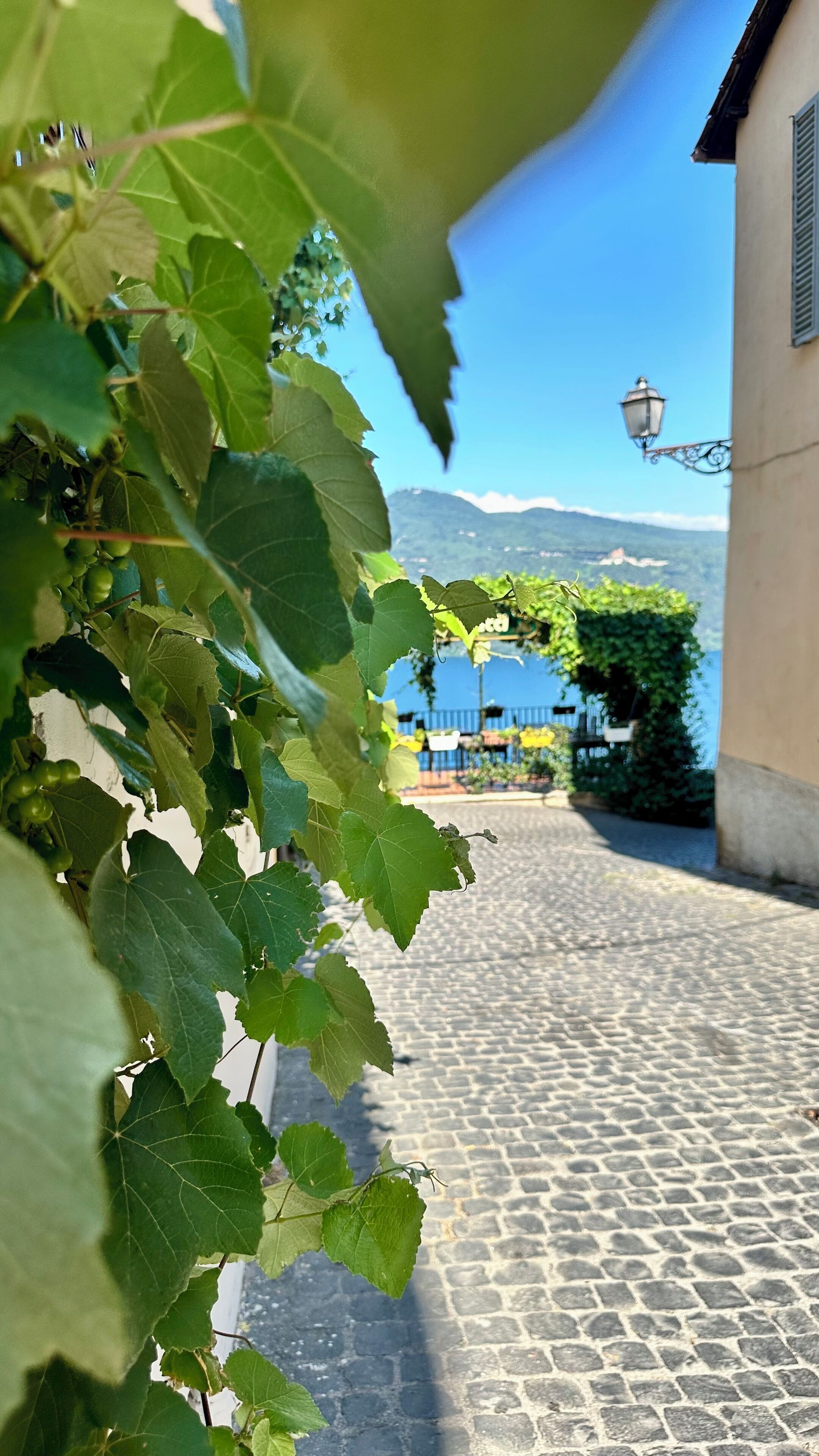 Detalle del exterior