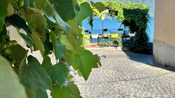 Detalle del exterior