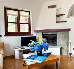 Televisión y chimenea