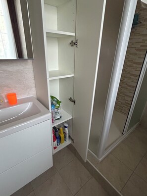 Shower, hair dryer, bidet, towels