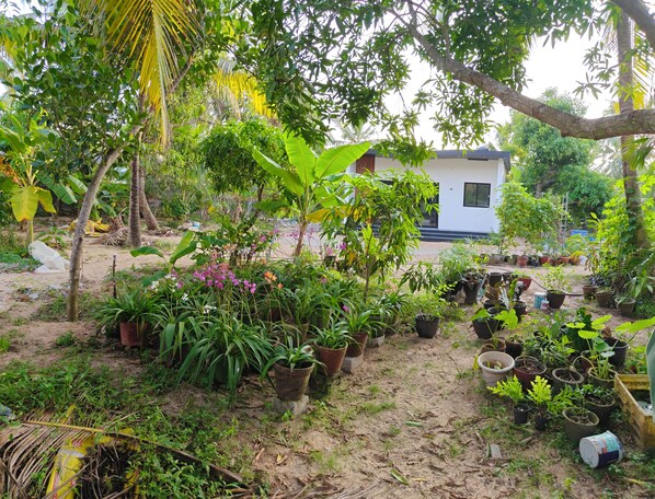 Property grounds - Cozy Studio Near Beach Peaceful Stay in Trivandrum (Thiruvananthapuram)