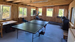 A room with a ping pong table, exercise equipment, and large windows. - Apartment "Unit 1" with Mountain View, Private Garden, and Wi-Fi (Bärenstein)