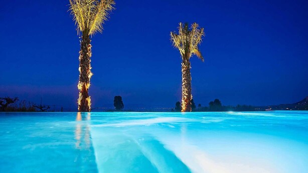 Una piscina illuminata di notte con due palme.