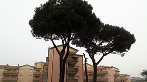 Un edificio residenziale a più piani con balconi, un ingresso con cancello e un’area parcheggio.