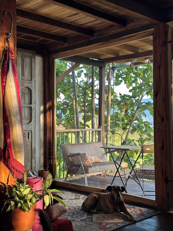 Interior - High beautiful Salamina Cabin (Salamina)