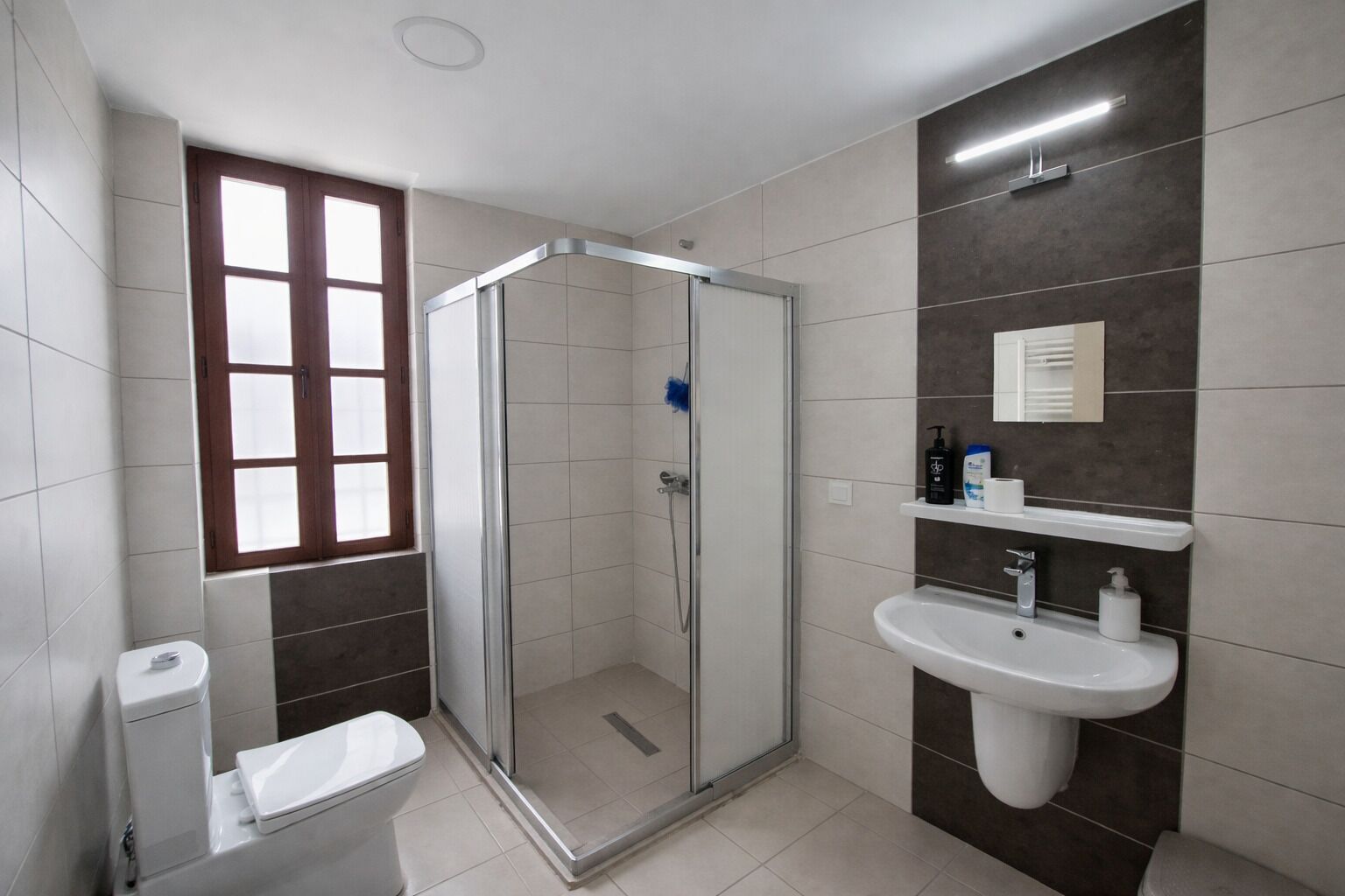 Shower, hair dryer, slippers, bidet