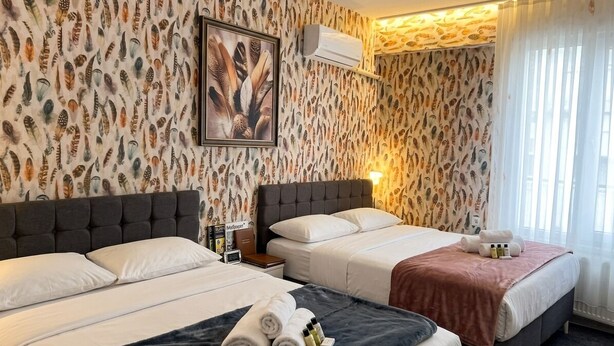 Una habitación de hotel con dos camas, una pared con un diseño de plumas, una obra de arte con plumas enmarcada, un equipo de aire acondicionado y una ventana con cortinas traslúcidas.