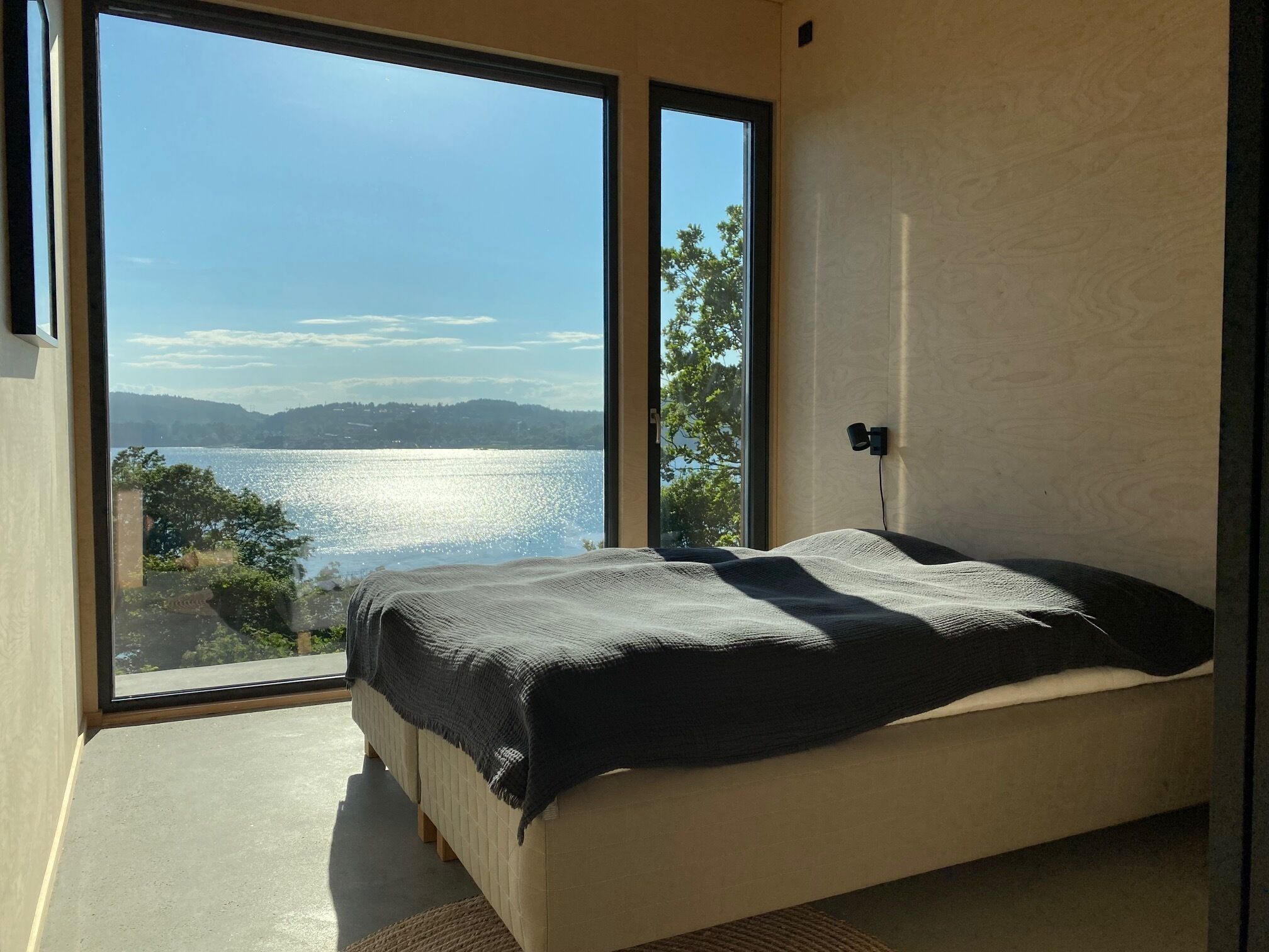 Strykejern/-brett og internettilgang