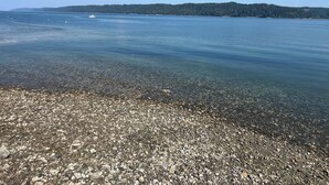 Una vista despejada de una playa de guijarros que se extiende hacia aguas tranquilas, con una masa de tierra boscosa a lo lejos.