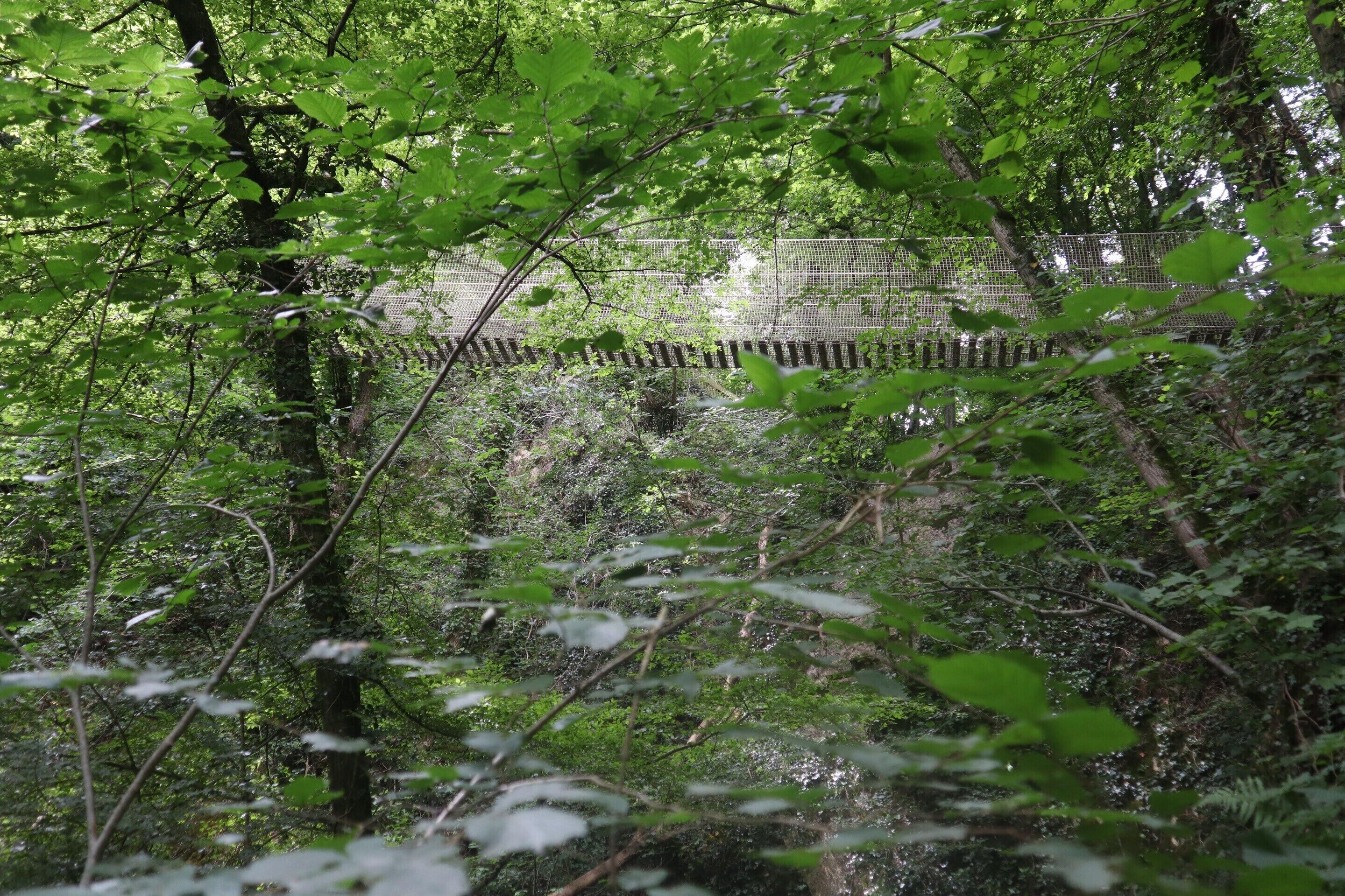 Chalet | View from property