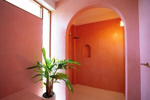 Un passadís amb una planta en test, una porta d'arc i una zona de dutxa.