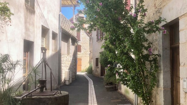 Ein schmaler Gang zwischen Gebäuden mit einem gepflasterten Weg, Steinmauern und einem blühenden Baum.