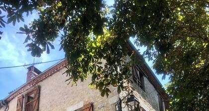 Appartement minimaliste et cozy