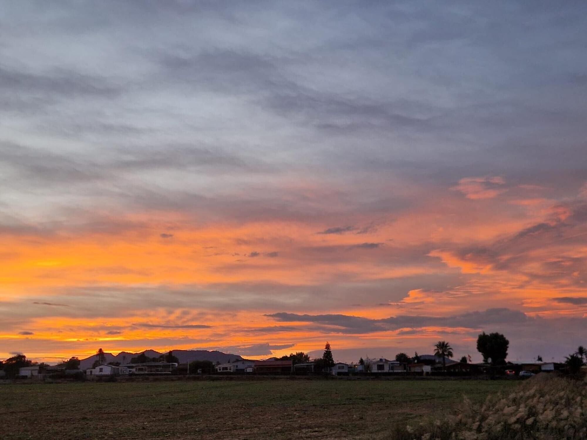 A rural landscape with houses and a field during sunset.
