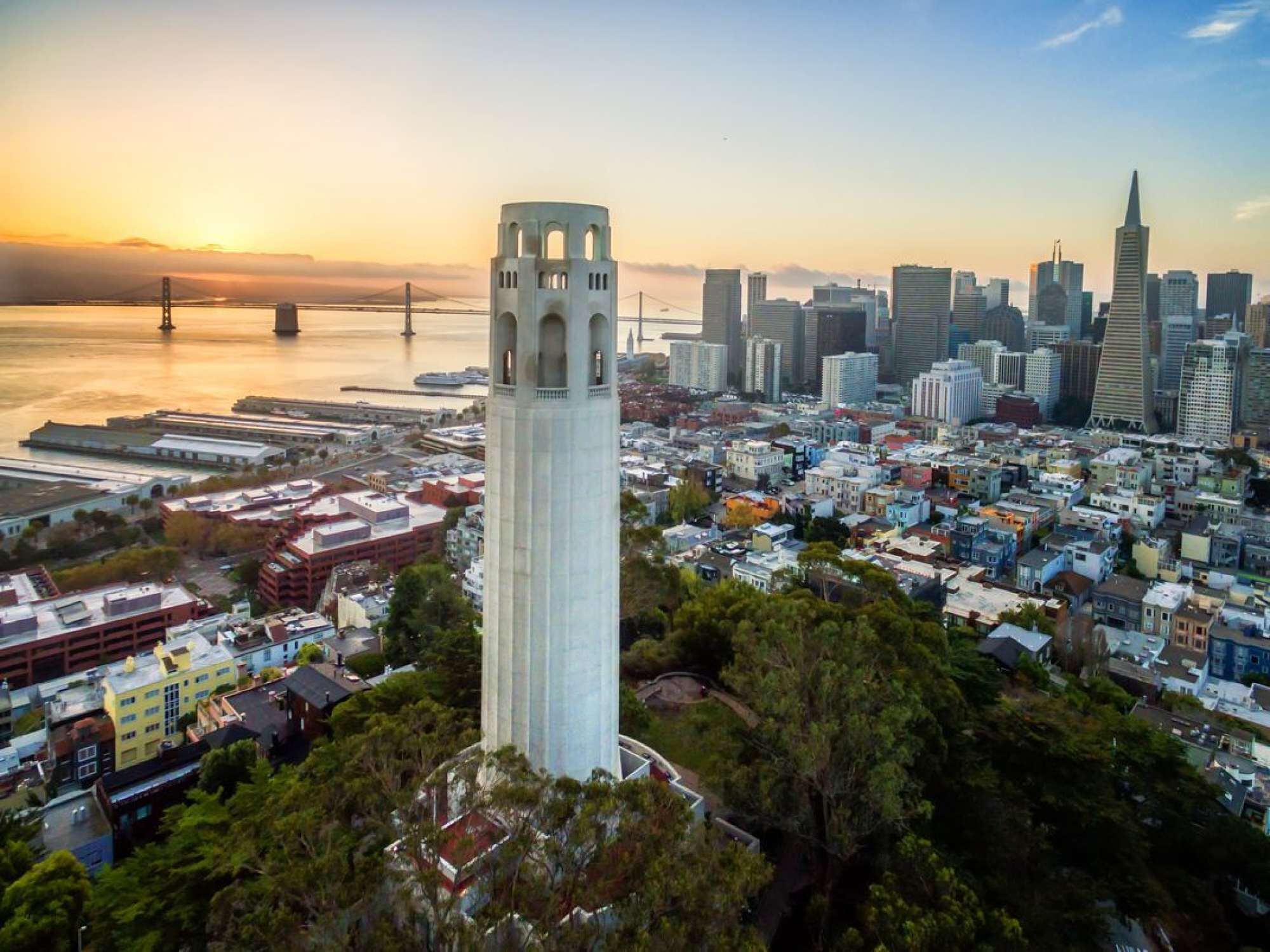 A cityscape with a prominent tower, a bridge, and dense urban buildings.