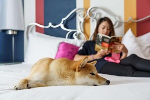 A dog lying on a bed with a person reading a book in the background. - Near Powell Cable Car | Italian Dining + Fitness (San Francisco)